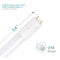 Luxrite T8 LED Tube Light Bulbs 11W (17W Equivalent) 1100LM 3000K Soft White Type A+B G13 Base 6-Pack LR34070-6PK - alternate 5